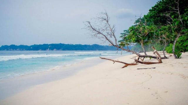 Eksplorasi Alam Liar di Pantai Sendiki Malang