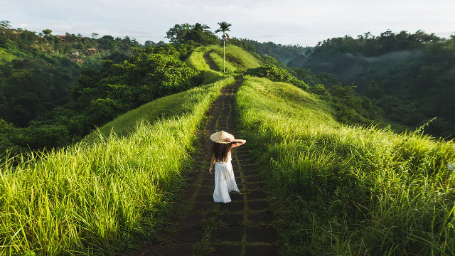 Pesona Jalur Hijau Ubud: Eksplorasi Lengkap Bukit Campuhan
